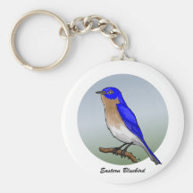 Eastern Bluebird rev.2.0 Buttons and Flair Keychains