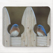 Eastern Bluebirds Mouse Mat