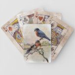 Eastern Bluebirds with Baby Bicycle Card Decks