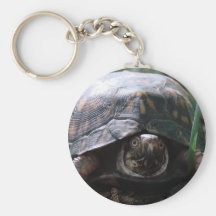 eastern box turtle key chains