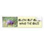 Eastern Box Turtle Louisiana Bumper Sticker