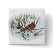 Eastern Cardinal Songbird Coordinating Items Pinback Button
