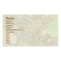 Eastern Chipmunk - Tamias striatus Business Cards