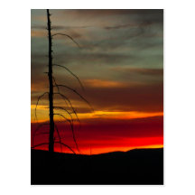 Eastern Oregon Sunrise Postcard