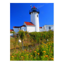Eastern Point Lighthouse flowers Gloucester Postcards
