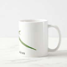 Eastern Rainbow Lorikeet Bookstore Promo Mugs