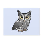 Eastern Screech Owl (Grey Phase)