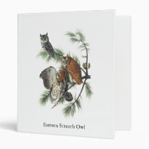Eastern Screech Owl, John Audubon 3 Ring Binders