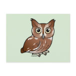 Eastern Screech Owl (Red Phase)