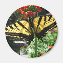 Eastern Tiger Swallowtail Butterfly Magnet
