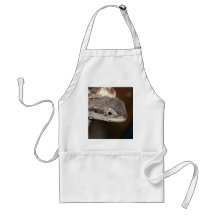 Eastern Water Dragon Aprons