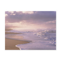 Easy Waves Coastline Atlantic Ocean Postcard
