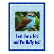 Eat Like a Bird 2 Post Card