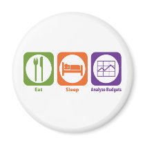 Eat Sleep Analyze Budgets Magnets