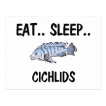 Eat Sleep CICHLIDS Postcard