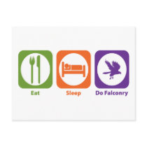 Eat Sleep Do Falconry Post Card