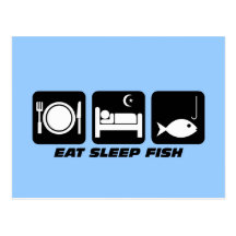 eat sleep fish postcards