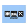 eat sleep fly