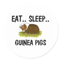 Eat Sleep GUINEA PIGS Round Sticker