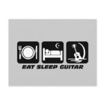Eat sleep guitar
