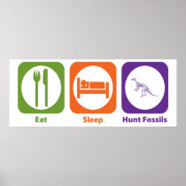 Eat Sleep Hunt Fossils Poster