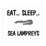 Eat Sleep SEA LAMPREYS Postcard