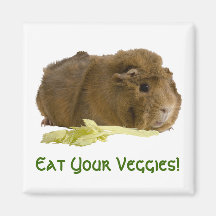 Eat Your Veggies! Magnet