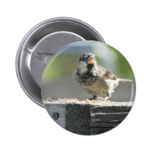Eating a seed buttons