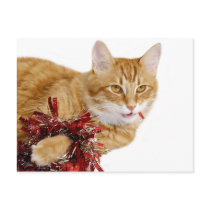 Eating Christmas decorations Postcards