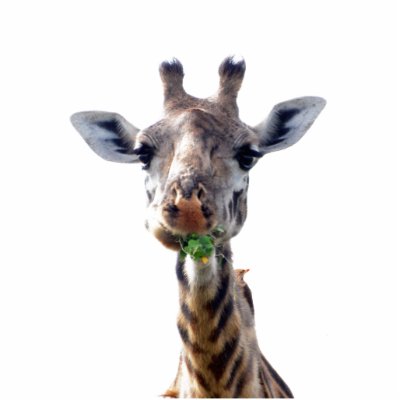 eating giraffe cut out by ties1980