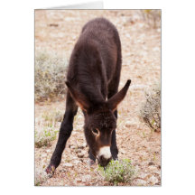 Eating Green Greeting Card