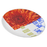 eating range party plate