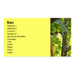 EB- Chameleon Lizard Business Cards