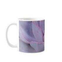 Echeveria 'Perle von Nurnberg' mug