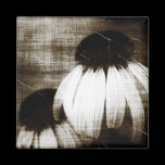 Echinacea Dark Dreams magnets