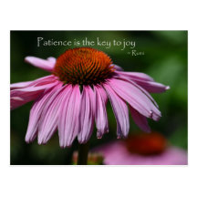 Echinacea with Patience Quote Postcards