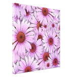 Echinaceas Everywhere Gallery Wrap Canvas