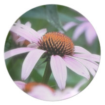 Echinaceas In The Mist Plate