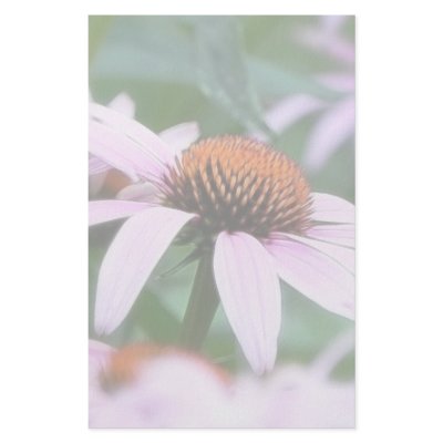 Echinaceas In The Mist Personalized Stationery by Pretty_World