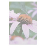 Echinaceas In The Mist stationery