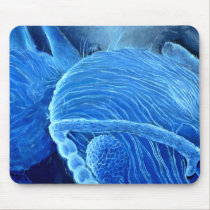 Eciton burchellii mousepads