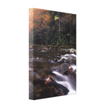 éclaboussure de la chute impression sur toile