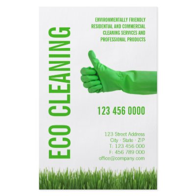 Eco Friendly Cleaning Services flyer by BluePlanet