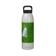 Eco-friendly water bottle