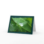 ECO FRIENDLY WATER CONSERVATION Gifts & Gear Greeting Card