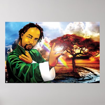 Eco kung fu poster by styleuniversal