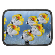 École de Rickshaw de Butterflyfish de Threadfin d' Agenda