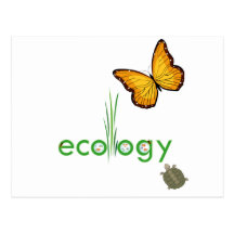 Ecology Post Card