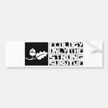 Ecology Survive Bumper Stickers