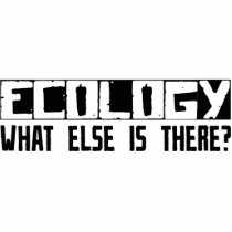 Ecology What Else Is There? Cut Out